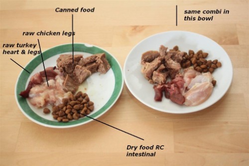 Happy Meal in der Cellani Cattery: Hühnerschenkel, Putenfleisch & -herz, Nassfutter, etwas Trockenfutter